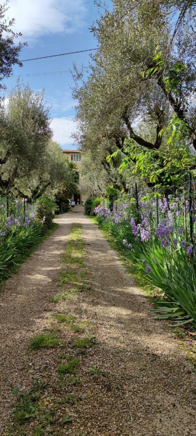 Agli Ippocastani Perugia Exterior foto